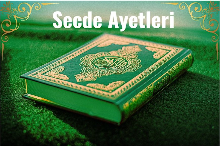 Kur’an-ı Kerim’deki Secde Ayetleri ve Tilavet Secdesi